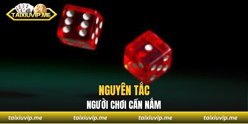 Nguyên tắc người chơi cần nắm